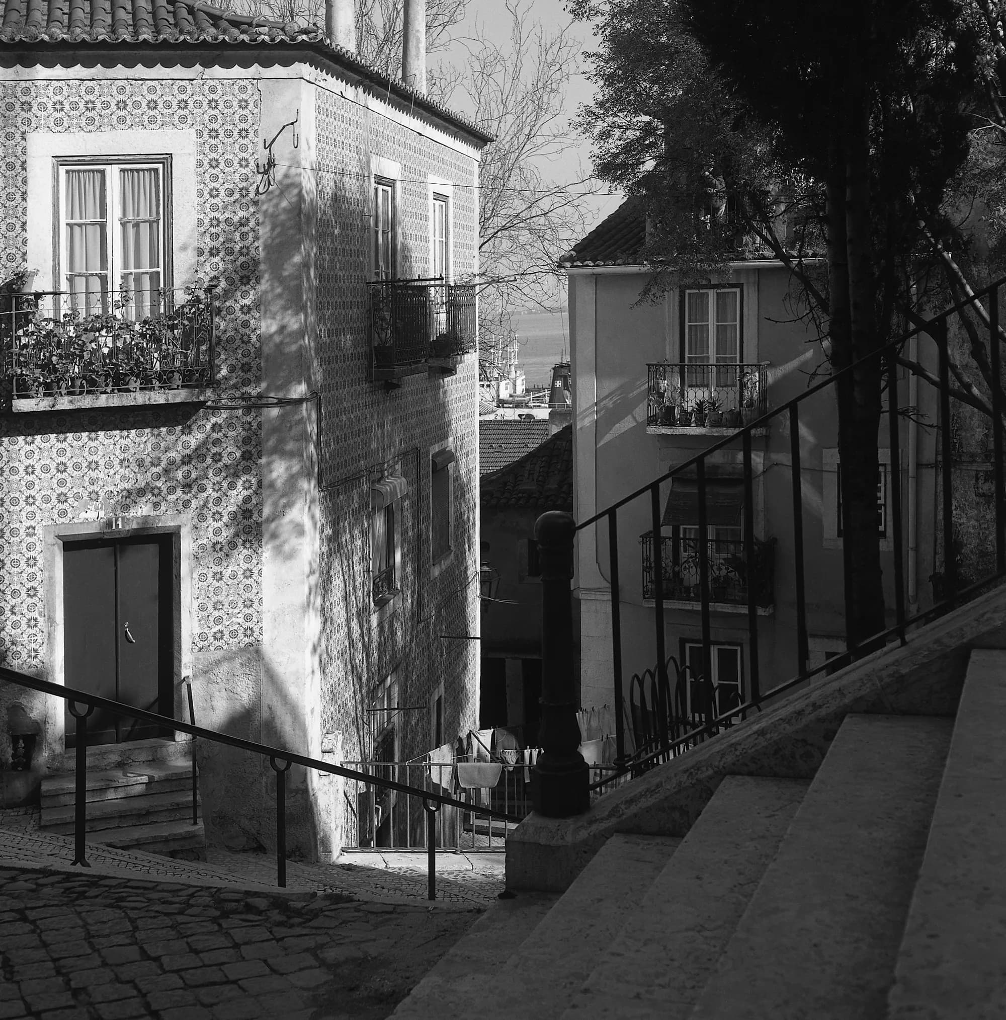 Lisboa 5