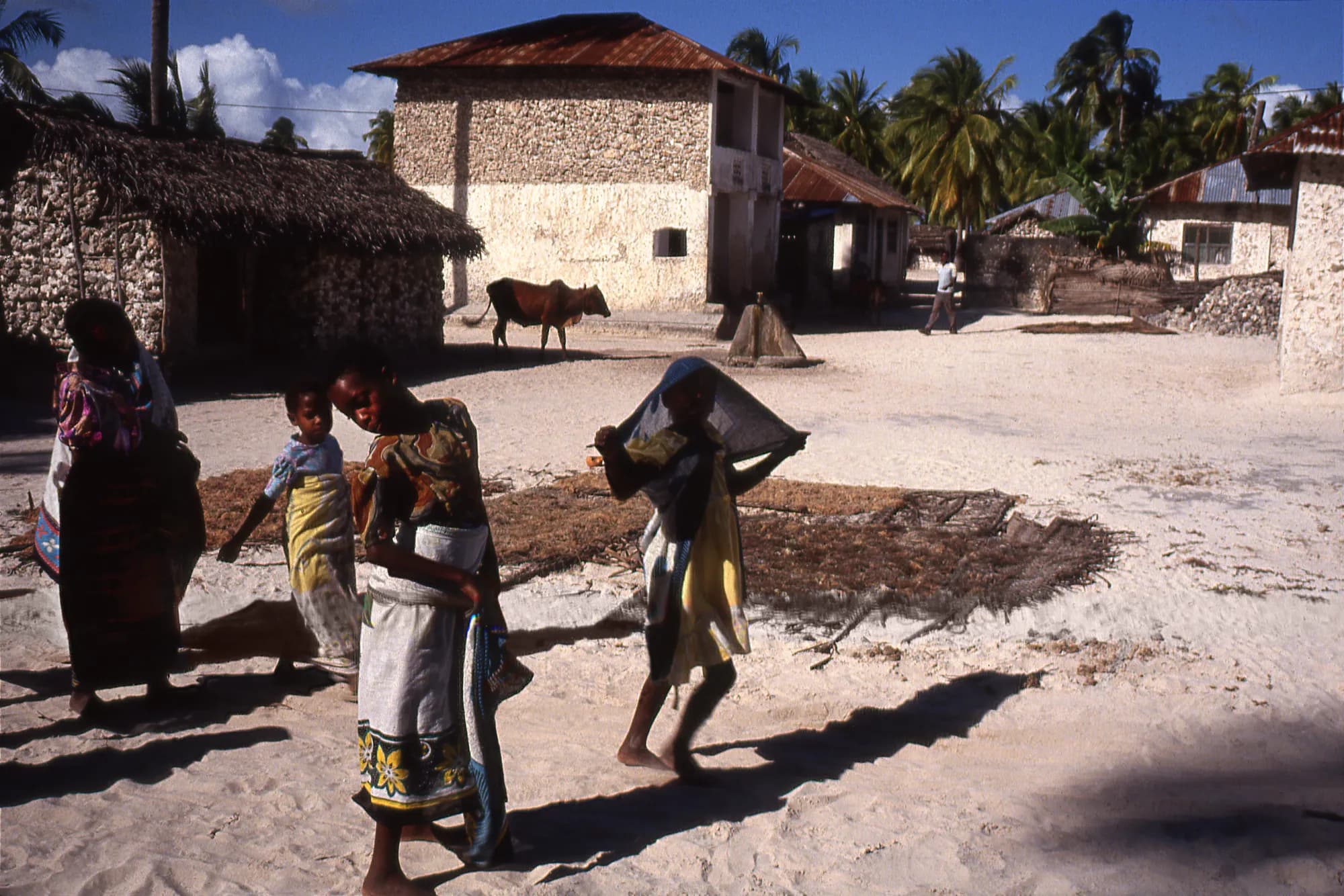Stone Town 1